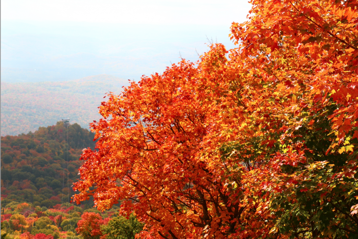 Where to See the Best Fall Colors in Mont-Tremblant?