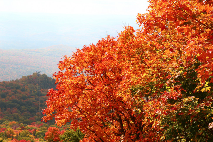 Où admirer les couleurs d'automne à Tremblant?