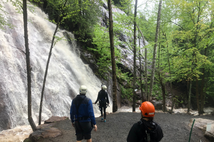 Experience the Flora of Tremblant
