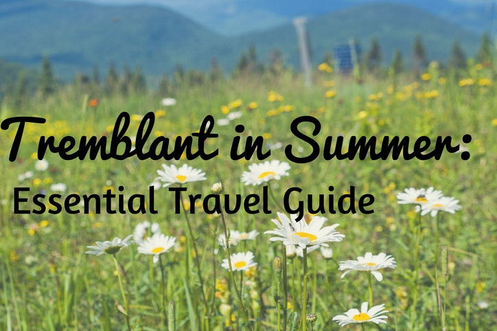 Ziptrek est présenté dans un blogue populaire